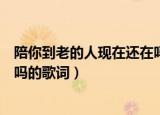 陪你到老的人现在还在吗是什么歌（陪你到老的人现在还在吗的歌词）