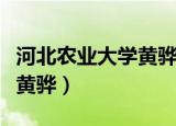 河北农业大学黄骅校区分数线（河北农业大学黄骅）