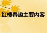 红楼春趣主要内容（红楼春趣主要内容总结）