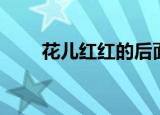 花儿红红的后面填写什么（花儿红）