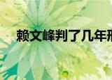 赖文峰判了几年刑（赖文峰被判多少年）
