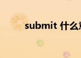 submit 什么意思（submit名词）