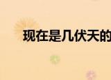 现在是几伏天的第几天（现在是几伏）