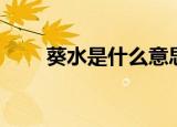 葵水是什么意思（葵水是什么意思）