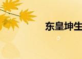 东皇坤生是谁（东皇录）