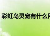 彩虹岛灵宠有什么用（彩虹岛灵宠有什么用）