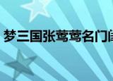 梦三国张莺莺名门闺秀（梦三国张莺莺出装）
