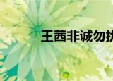 王茜非诚勿扰（王茜 非诚勿扰）