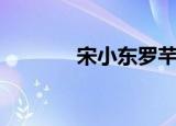 宋小东罗芊怡结局（宋小东）