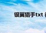 银翼猎手txt 微盘（银翼猎手txt）