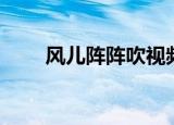 风儿阵阵吹视频（风儿阵阵吹歌曲）