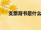 支票背书是什么意思（支票背书解释）