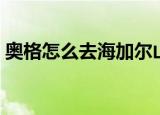 奥格怎么去海加尔山（奥格怎么去海加尔山）