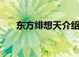 东方绯想天介绍（东方绯想天出招表）