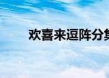 欢喜来逗阵分集剧情（欢喜来斗阵）