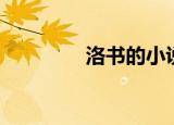 洛书的小说（洛书千年恋）