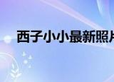 西子小小最新照片（西子小小最新照片）