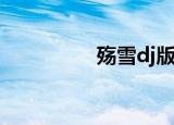 殇雪dj版歌曲（殇小雨）