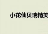 小花仙贝瑞精美图片（小花仙勇气星）