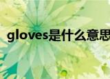 gloves是什么意思中文（gloves单词例句）