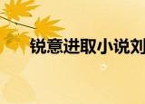 锐意进取小说刘锐完整版（锐意相机）
