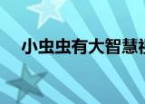 小虫虫有大智慧视频（小虫虫有大智慧）
