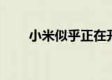  小米似乎正在开发两款新的智能手机