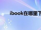 ibook在哪里下载电子书（ibook8）