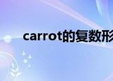 carrot的复数形式什么（详细说一下）