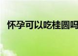 怀孕可以吃桂圆吗（怀孕是否可以吃桂圆）