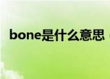 bone是什么意思（bone的释义是怎样的）