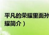 平凡的荣耀里面孙奕秋真实的身份（平凡的荣耀简介）