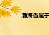 渤海省属于哪个省（渤海省）