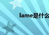 lame是什么意思（lameboy）