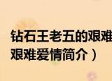 钻石王老五的艰难爱情演员表（钻石王老五的艰难爱情简介）
