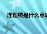 连理枝是什么意思（连理枝解释是什么）