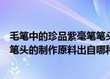 毛笔中的珍品紫毫笔笔头的制作原料出自哪种动物（紫毫笔笔头的制作原料出自哪种动物）
