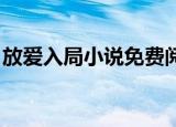放爱入局小说免费阅读答案（放爱入局 小说）