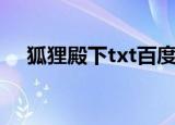 狐狸殿下txt百度云下载（狐狸殿下txt）