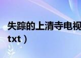 失踪的上清寺电视剧免费观看（失踪的上清寺txt）