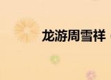 龙游周雪祥（龙游四海侯龙涛）