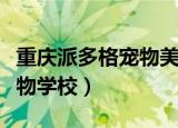 重庆派多格宠物美容学校地址（重庆派多格宠物学校）