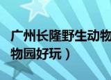 广州长隆野生动物园好玩吗（广州长隆野生动物园好玩）