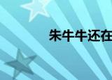 朱牛牛还在厦门吗（朱牛牛）