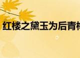 红楼之黛玉为后青梅如豆（红楼之黛玉之弟）