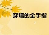 穿墙的金手指（红宝石穿墙金手指）
