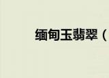 缅甸玉翡翠（什么叫缅甸翡翠玉）