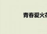 青春爱火花（青春爱火花）