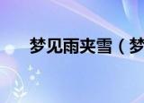 梦见雨夹雪（梦见雨夹雪意味着什么）
