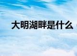 大明湖畔是什么（大明湖畔是什么意思）